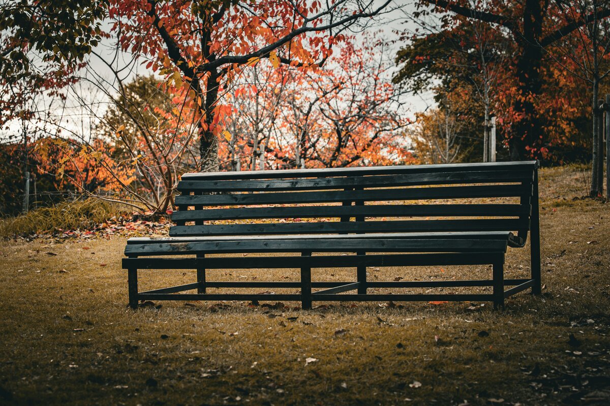 Two people sitting quietly on a park bench
